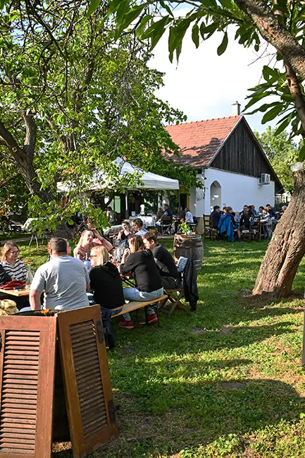 borkóstoló szabadtéren